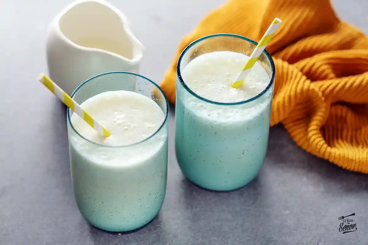 Ayran turco tradicional con yogur y sal